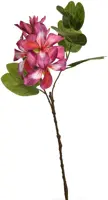 Pure Royal kunsttak bauhinia 60cm beauty - afbeelding 1
