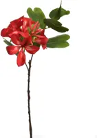 Pure Royal kunsttak bauhinia 60cm rood - afbeelding 1