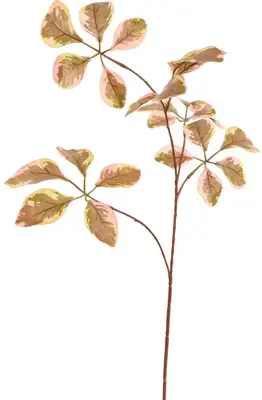 Pure Royal kunsttak beuk 74cm roze - afbeelding 1