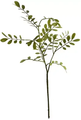 Pure Royal kunsttak blad 66cm groen - afbeelding 1