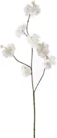 Pure Royal kunsttak bloesem 86cm crème - afbeelding 1