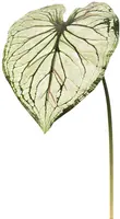 Pure Royal kunsttak caladium 113cm licht groen kopen?