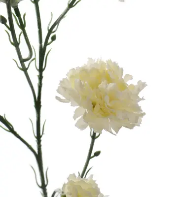 Pure Royal kunsttak carnation 71cm creme - afbeelding 2