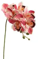 Pure Royal kunsttak cymbidium 72cm beauty - afbeelding 1