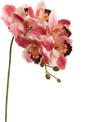 Pure Royal kunsttak cymbidium 72cm beauty - afbeelding 1