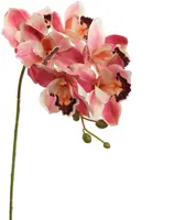Pure Royal kunsttak cymbidium 72cm beauty - afbeelding 1