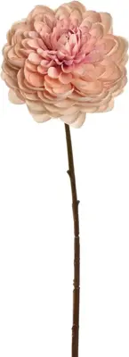 Pure Royal kunsttak dahlia 60cm crème roze - afbeelding 1