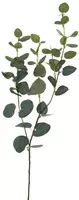 Pure Royal kunsttak eucalyptus 75cm groen kopen?