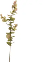 Pure Royal kunsttak eucalyptus 75cm groen - afbeelding 2