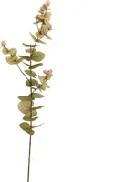 Pure Royal kunsttak eucalyptus 75cm groen - afbeelding 1