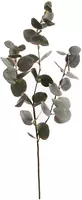 Pure Royal kunsttak eucalyptus 75cm groen, roze - afbeelding 1