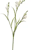 Pure Royal kunsttak freesia 65cm crème - afbeelding 1