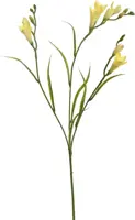 Pure Royal kunsttak freesia 65cm geel - afbeelding 1