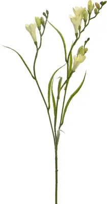 Pure Royal kunsttak freesia 65cm groen - afbeelding 1