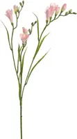 Pure Royal kunsttak freesia 65cm roze - afbeelding 1