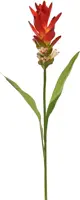 Pure Royal kunsttak gemberlelie 70cm rood - afbeelding 1