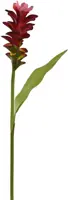 Pure Royal kunsttak gemberlelie 75cm rood - afbeelding 1