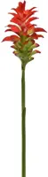 Pure Royal kunsttak gemberlelie 90cm rood - afbeelding 1