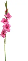 Pure Royal kunsttak gladiolus 85cm beauty kopen?