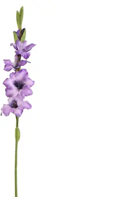 Pure Royal kunsttak gladiolus 85cm paars - afbeelding 1