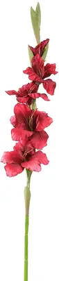 Pure Royal kunsttak gladiool 85cm bordeaux - afbeelding 1