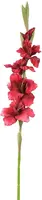 Pure Royal kunsttak gladiool 85cm bordeaux - afbeelding 1