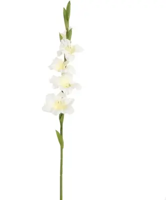 Pure Royal kunsttak gladiool 85cm crème - afbeelding 1