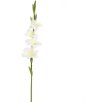 Pure Royal kunsttak gladiool 85cm crème - afbeelding 1