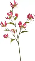 Pure Royal kunsttak gloriosa 125cm roze - afbeelding 1