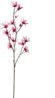 Pure Royal kunsttak hamamelis 98cm beauty - afbeelding 1