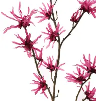 Pure Royal kunsttak hamamelis 98cm beauty - afbeelding 2