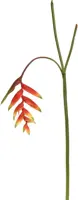 Pure Royal kunsttak heliconia 130cm rood - afbeelding 1