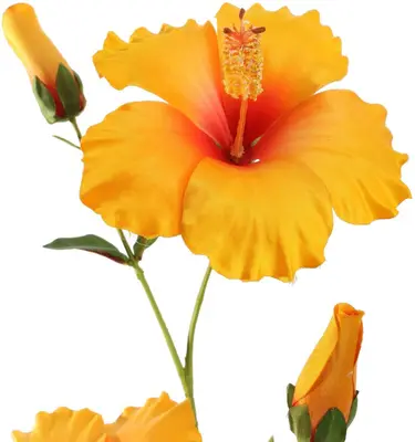 Pure Royal kunsttak hibiscus 75cm geel - afbeelding 2