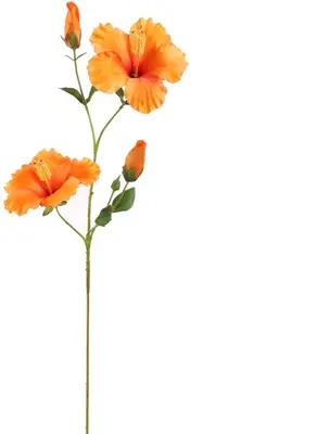 Pure Royal kunsttak hibiscus 75cm oranje - afbeelding 1