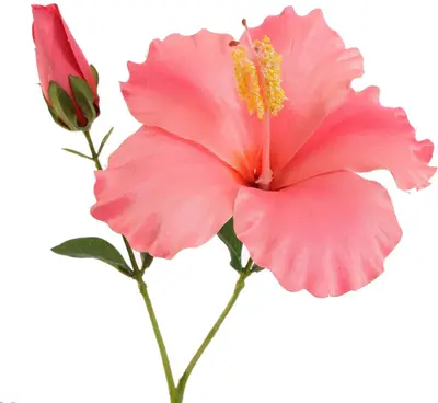 Pure Royal kunsttak hibiscus 75cm roze - afbeelding 2