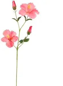 Pure Royal kunsttak hibiscus 75cm roze - afbeelding 1