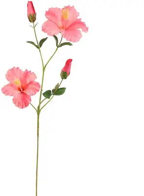 Pure Royal kunsttak hibiscus 75cm roze - afbeelding 1