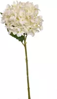 Pure Royal kunsttak hortensia 45cm crème - afbeelding 1