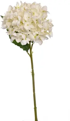 Pure Royal kunsttak hortensia 45cm crème - afbeelding 2