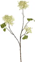 Pure Royal kunsttak hydrangea 70cm groen - afbeelding 1