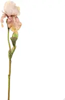 Pure Royal kunsttak iris 79cm perzik - afbeelding 1