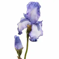 Pure Royal kunsttak iris 80cm blauw - afbeelding 2