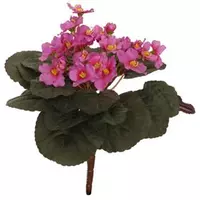 Pure Royal kunsttak kaaps viooltje 22cm roze - afbeelding 1