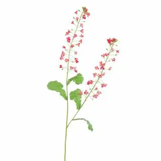 Pure Royal kunsttak koolzaad bloem 85cm beauty - afbeelding 1