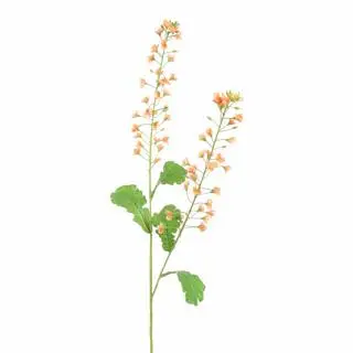 Pure Royal kunsttak koolzaad bloem 85cm perzik - afbeelding 1