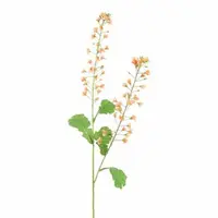 Pure Royal kunsttak koolzaad bloem 85cm perzik - afbeelding 1