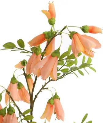 Pure Royal kunsttak kowhai 87cm perzik - afbeelding 3