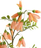 Pure Royal kunsttak kowhai 87cm perzik - afbeelding 3