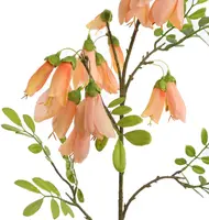Pure Royal kunsttak kowhai 87cm perzik - afbeelding 2