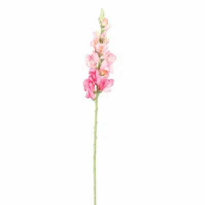 Pure Royal kunsttak leeuwebekjes 81cm roze - afbeelding 1